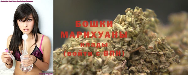 соль ск Вяземский