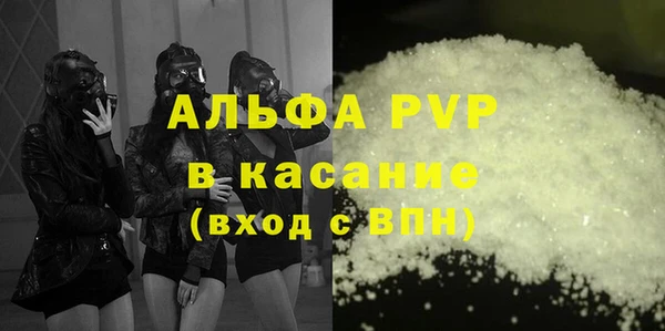 ECSTASY Гусев