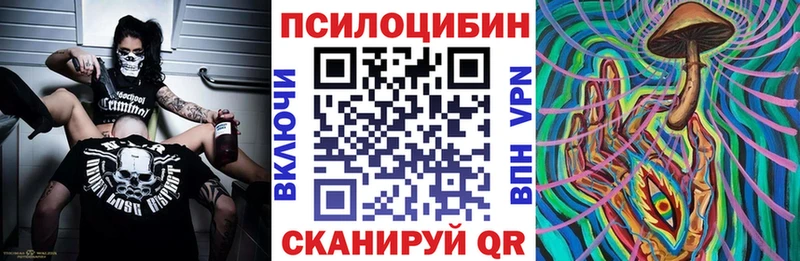 Псилоцибиновые грибы мицелий  закладки  блэк спрут ССЫЛКА  Дрезна 